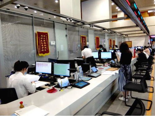 科技賦能，服務百姓——北京順義區創新技術服務模式探秘